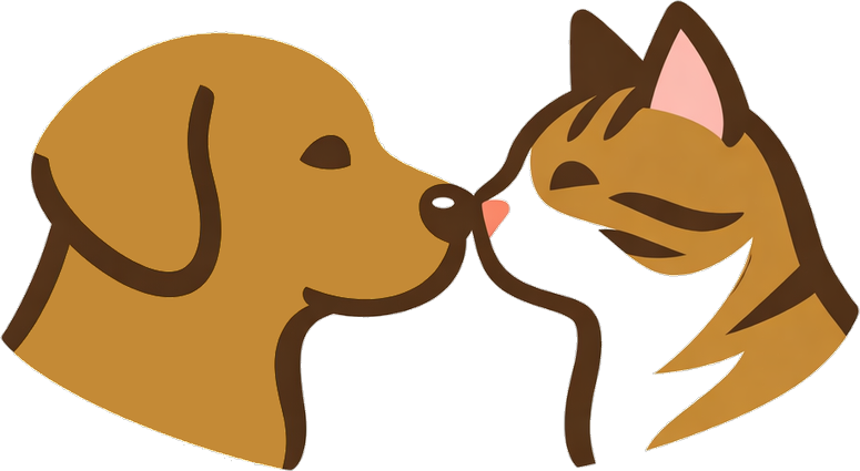 Pet on camera